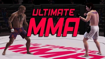 Обзор Ultimate MMA. Что нужно знать новичку?