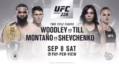 Официальный постер UFC 228