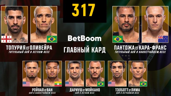 UFC 317 прямой эфир смотреть онлайн