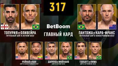 UFC 317 прямой эфир смотреть онлайн