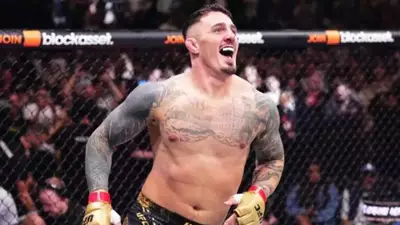 Том Аспиналл назвал фаворита в бою Волков - Алмейда на UFC 321