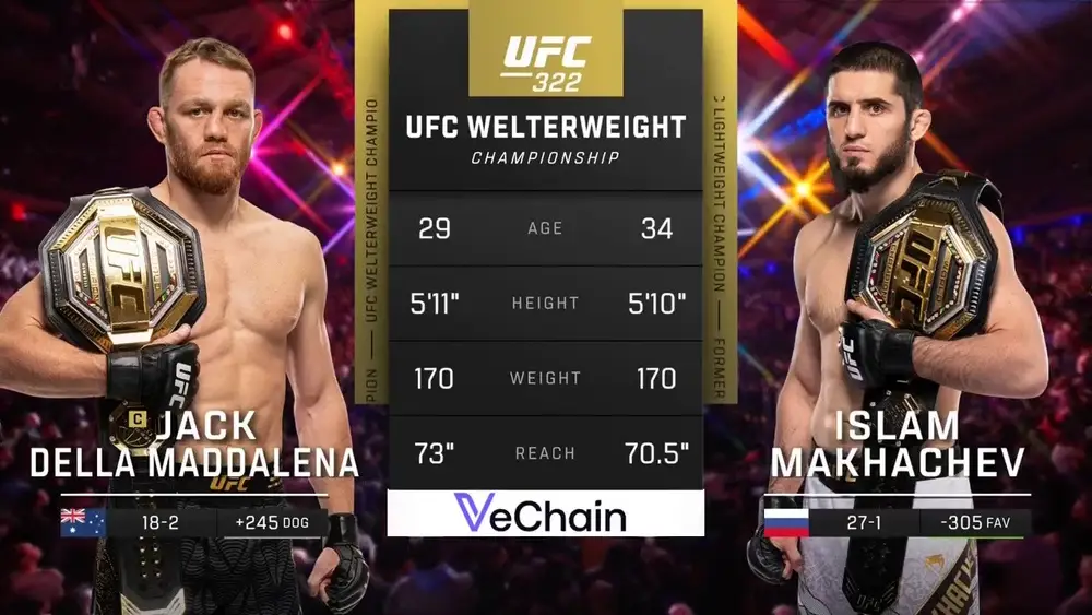 Видео боя: Джек Делла Маддалена - Ислам Махачев (16.11.2025)