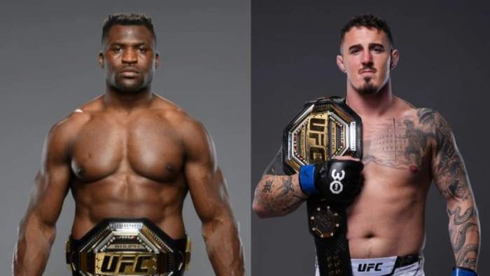 Том Аспиналл назвал Фрэнсиса Нганну возможным соперником в боксе