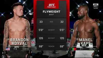 Видео боя: Манель Капе - Брэндон Ройвалл (14.12.2025)