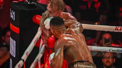 Кормье оценил Пола после поражения от Джошуа: его можно ненавидеть, но он смелый парень