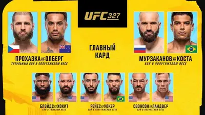 Результаты UFC 327 Иржи Прохазка - Карлос Ульберг