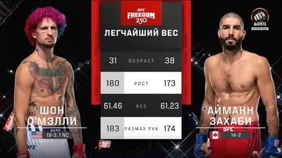 Видео боя: Шон О'Мэлли - Айман Захаби (15.06.2026)