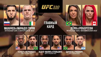 Результаты UFC 330: Ислам Махачев - Йен Мачадо Гарри