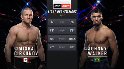 Видео боя: Миша Циркунов - Джонни Уокер (UFC 235)