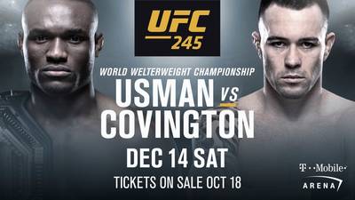 UFC 245: Усман - Ковингтон пресс-конференция онлайн