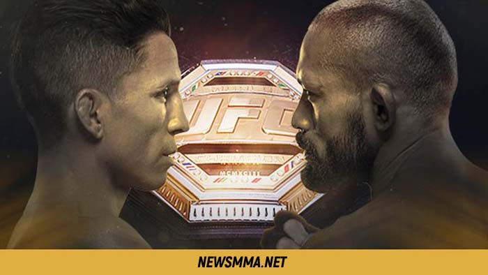 UFC Fight Night 169: Бенавидес - Фигейреду прямая трансляция онлайн