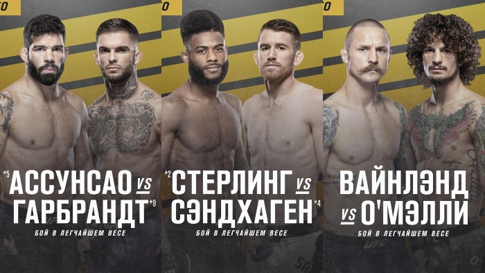 Известен полный список заявленных боёв на UFC 250