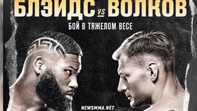 Официальный постер UFC Fight Night 173: Блэйдс - Волков