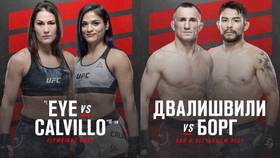 Где смотреть UFC Fight Night 172: Джессика Ай - Синтия Калвилло