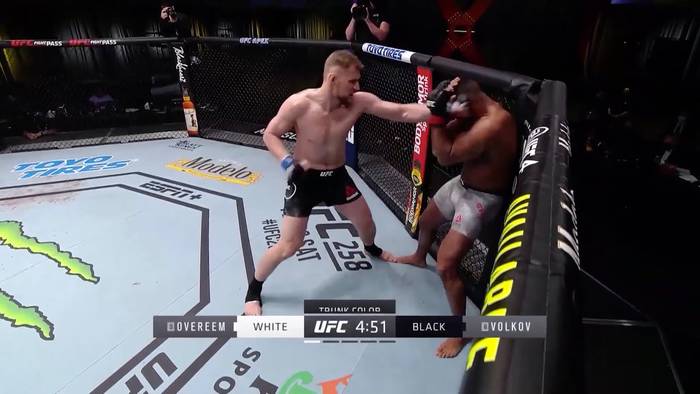 UFC Fight Night 184: хайлайты и лучшие моменты турнира (видео)