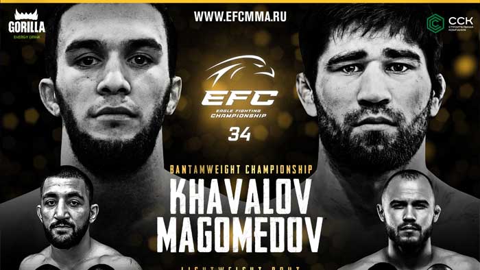 Eagle FC 34: Хавалов - Магомедов прямая трансляция онлайн