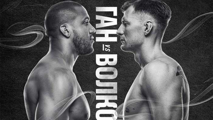 Результаты UFC Fight Night 190: Александр Волков - Сирил Ган