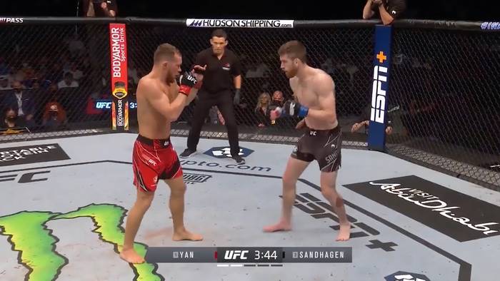 UFC 267 хайлайты и лучшие моменты турнира (видео) UFC 267 хайлайты и лучшие моменты турнира (видео)