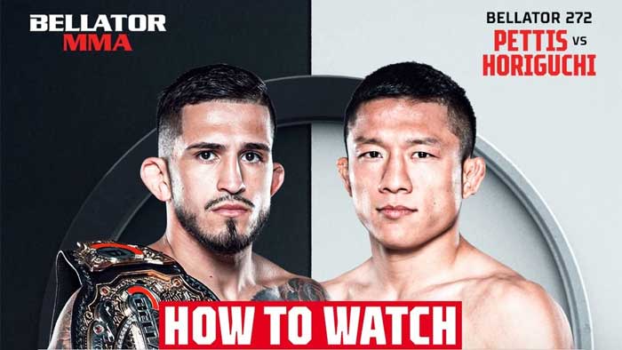 Результаты Bellator 272: Серхио Петтис - Киоджи Хоригучи