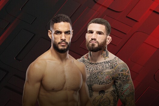 UFC Fight Night 293