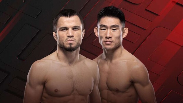 UFC Fight Night 286