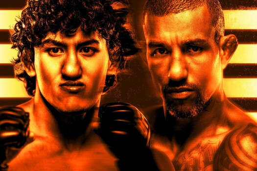 UFC Fight Night 289