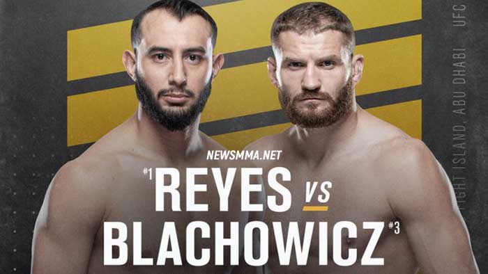 UFC 253