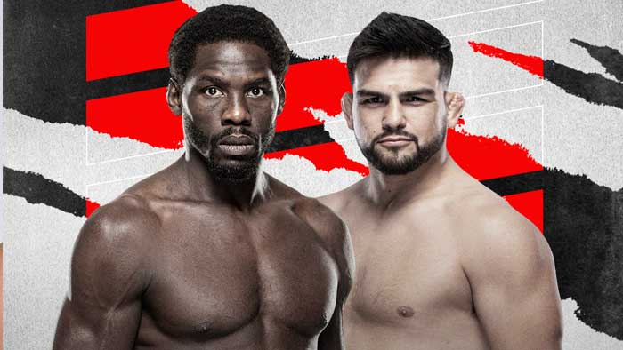 UFC 265