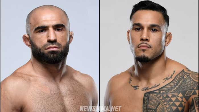 UFC 264